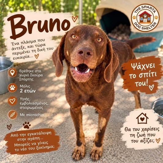 Bruno!