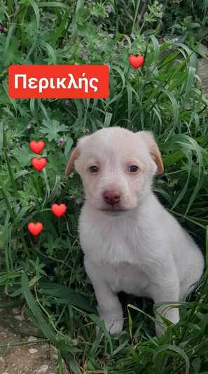 ΠΕΡΙ 2 ΜΗΝΩΝ