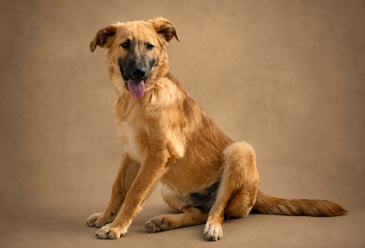 Max