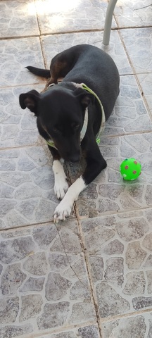 Μπουμπη