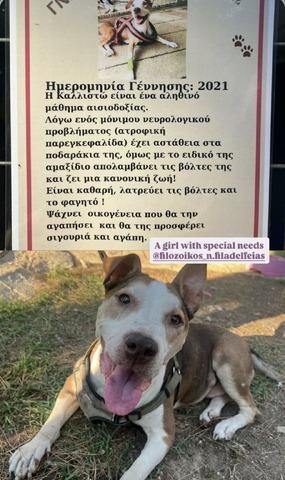 Καλλιστώ