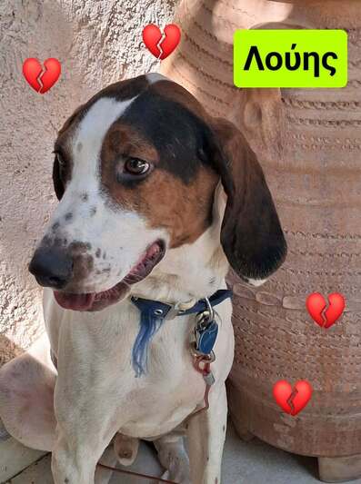 Λούης