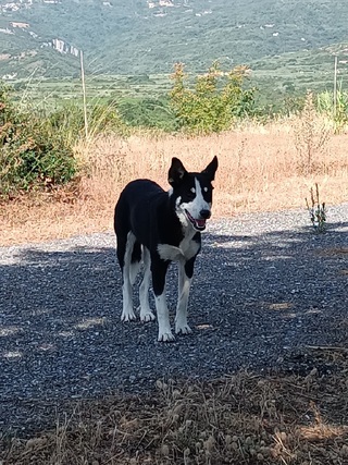 ΑΔΕΣΠΟΤΟ