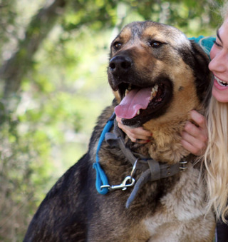 Καφετούλης