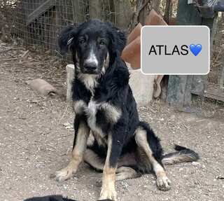 Atlas
