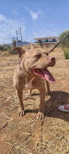 Billy