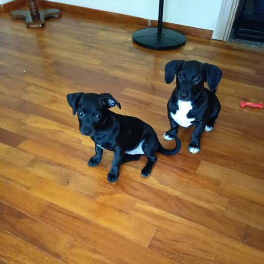 BLACK&JACK