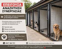 ΕΠΕΙΓΟΥΣΑ ΑΝΑΖΗΤΗΣΗ ΣΥΝΕΡΓΑΣΙΑΣ