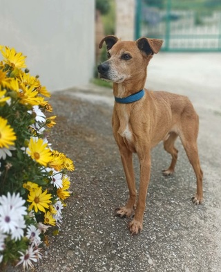 Λευτεράκης!!!