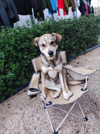 Boy