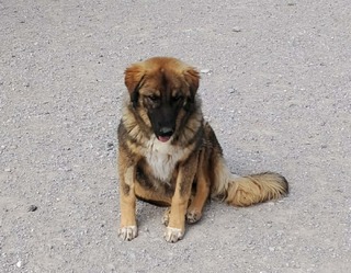 ΚΩΝΣΤΑΝΤΙΝΑ