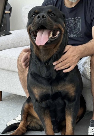 Drago