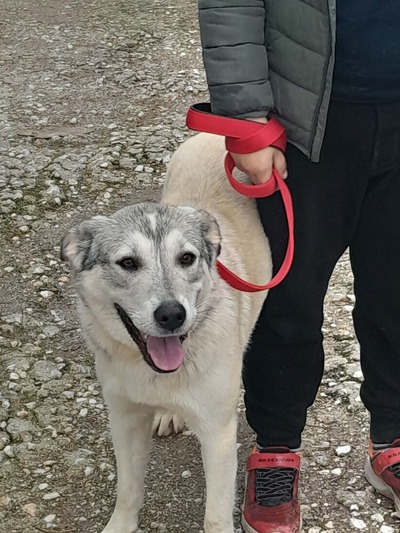 ΗΡΑ 10 ΜΗΝΩΝ