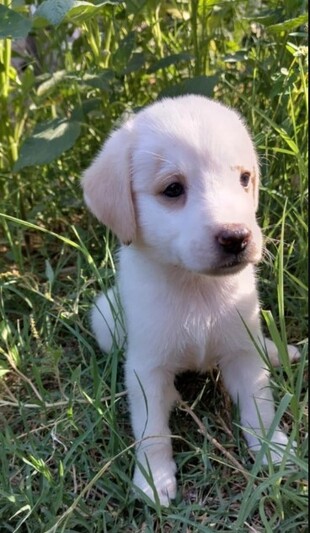 Tiny