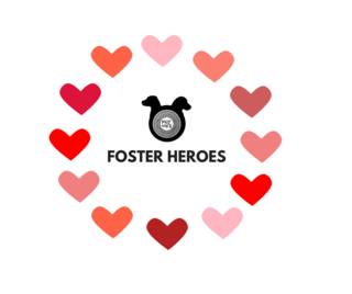 Foster Heroes Πρόγραμμα φιλοξενιών αδέσποτων ζώων