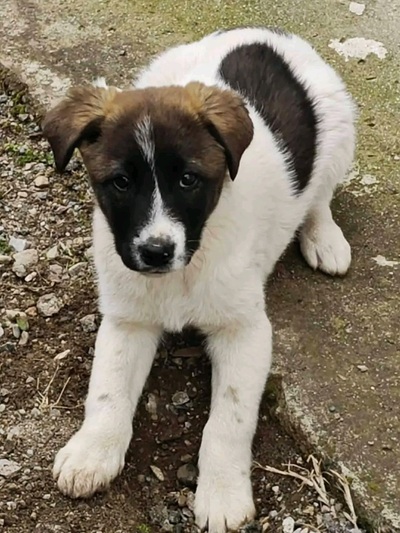 Lucy!
