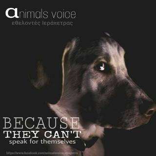 Animals Voice - Eθελοντές Ιεράπετρας