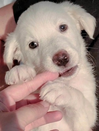 Coco!