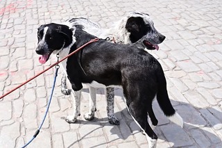 Μπιλυ και Μάρθα