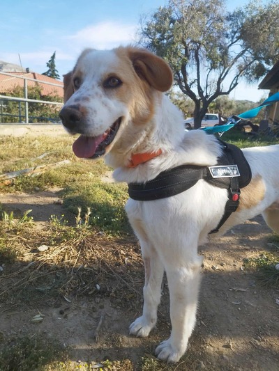 ♥️Μόκα ♥️