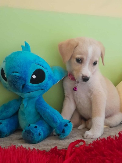 Τίνα, 2μηνών