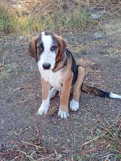MAILO