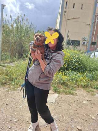 Γιαννάκης