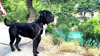 Μάξιμο