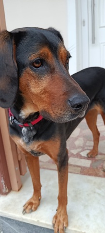 Λουλούκα ♥️♥️♥️