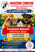 Νέο Πρόγραμμα Στειρώσεων Δεσποζόμενων Ζώων