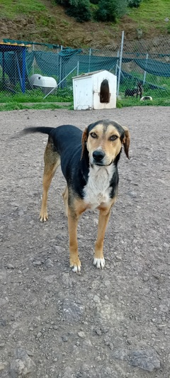 Tayson