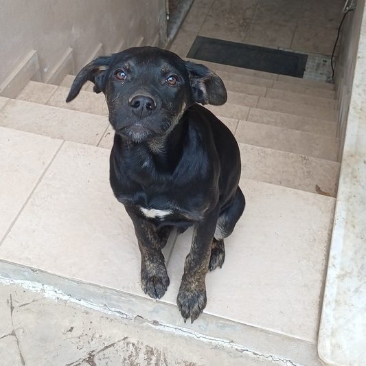 Χωρίς όνομα