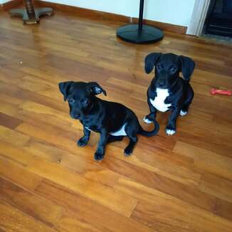BLACK&JACK