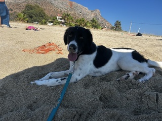 Βυρωνας