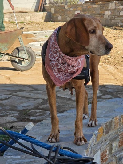 Φανουρίτσα