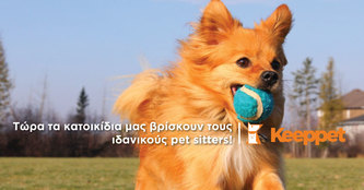Υιοθέτησες σκύλο; Το www.keeppet.gr σε στηρίζει!