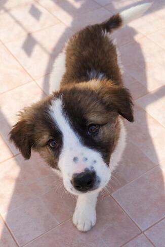 ♥️ ΦΑΝΤΑ♥️