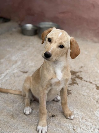 ❤️Λούνα❤️