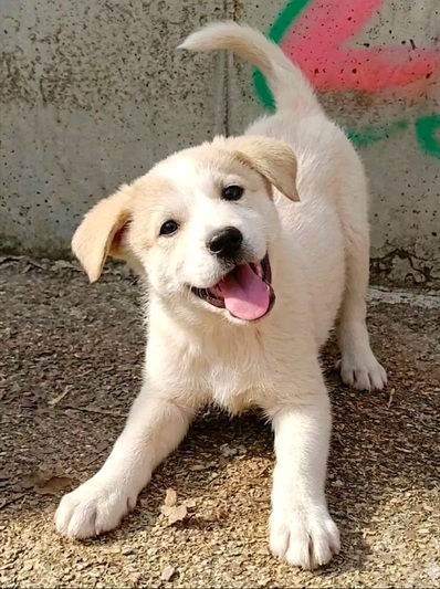 Maya!