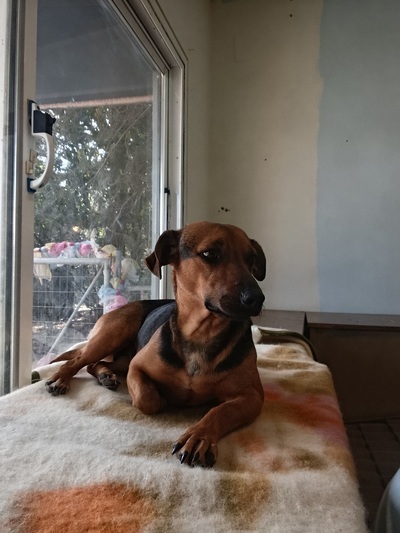 Mili