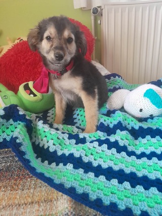 Νώντας, 3 μηνών