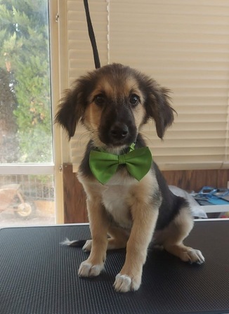Max