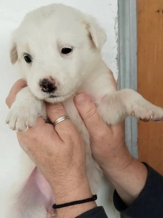 Coco!
