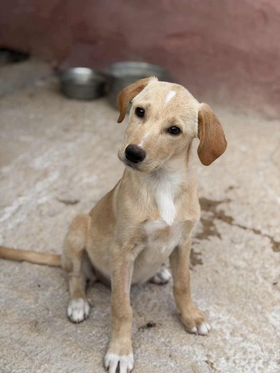 ❤️Λούνα❤️