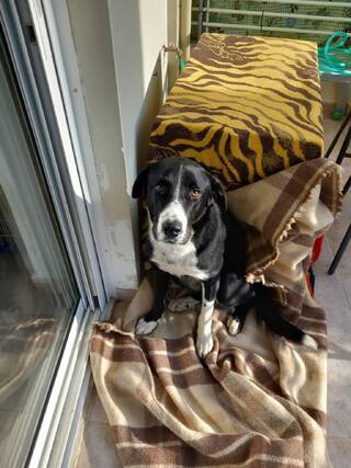 Max