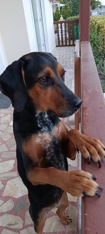 Λουλούκα ♥️♥️♥️