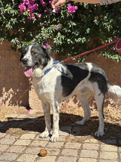 ♥️Ορλάντο ❤️