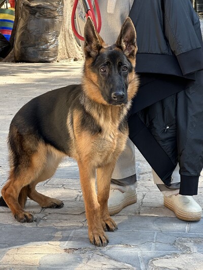 ΛΟΥΝΑ