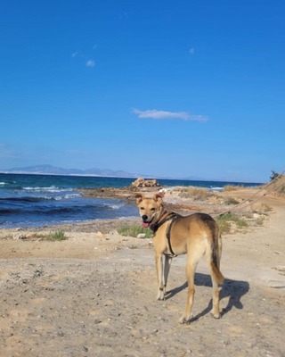 Beilis