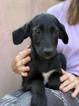 ♥️Νουάρ ♥️